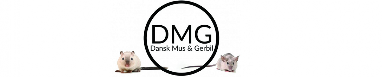 Dansk Mus & Gerbil