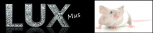 lux-mus
